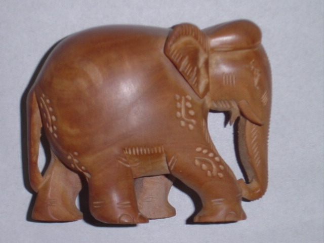 Elephant